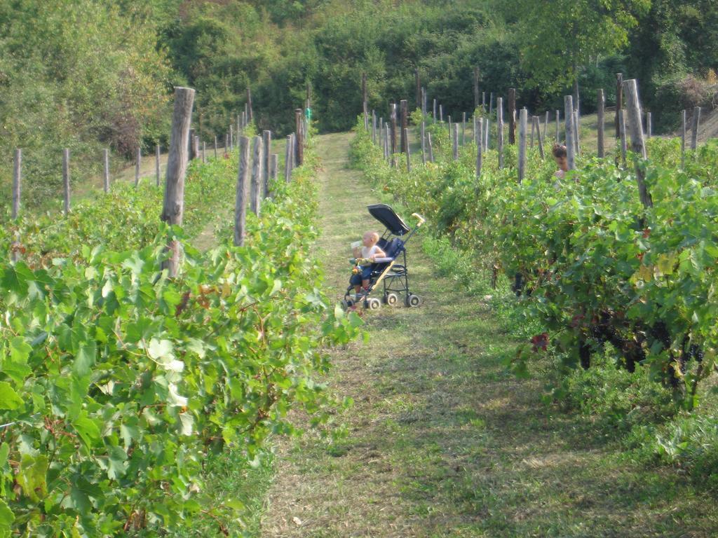 Dalla Magna Livia L&L Brusasco Bagian luar foto
